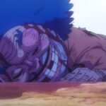 ONE PIECE Vivre Card reveals a sad reality about Yasuie: the deepening of character ONE PIECE Vivre Card reveals a sad reality about Yasuie: the deepening of character