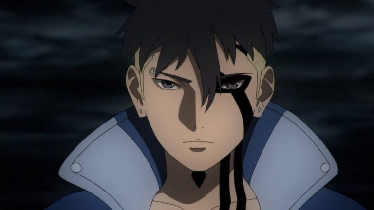 Boruto: Kawaki’s doubts and Himawari’s behavior in the episode 209 preview Boruto: Kawaki’s doubts and Himawari’s behavior in the episode 209 preview