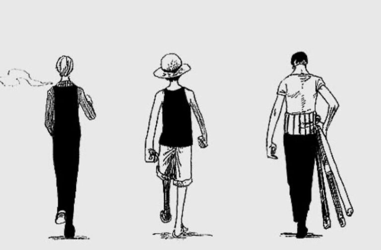 ONE PIECE, the wings of the pirate king: the meaning of Sanji and Zoro for Luffy ONE PIECE, the wings of the pirate king: the meaning of Sanji and Zoro for Luffy