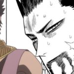 Black Clover: The Fate of the Kingdom of Swords in the cover of Volume 30 Black Clover: The Fate of the Kingdom of Swords in the cover of Volume 30