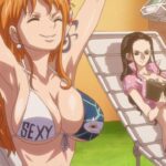 ONE PIECE: a cosplay of Nami in the costume of the Japanese Mirurumi ONE PIECE: a cosplay of Nami in the costume of the Japanese Mirurumi