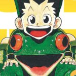 Hunter x Hunter takes a break, but sales continue: new record for printed copies Hunter x Hunter takes a break, but sales continue: new record for printed copies
