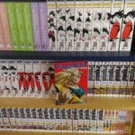 Piracy in Japan is becoming uncontrollable, denounces the ABJ Piracy in Japan is becoming uncontrollable, denounces the ABJ