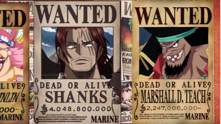 ONE PIECE, is size a pirate’s true strength? Oda’s explanation ONE PIECE, is size a pirate’s true strength? Oda’s explanation