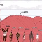 Attack of the giants, how big are the different giants? The official measures Attack of the giants, how big are the different giants? The official measures