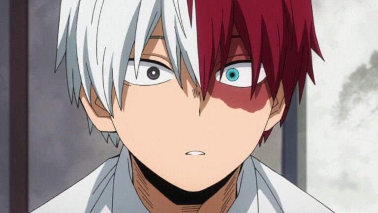 My Hero Academia, the community celebrates Shoto: What can we expect from his 2022? My Hero Academia, the community celebrates Shoto: What can we expect from his 2022?