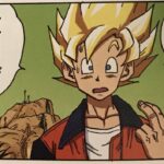 Dragon Ball Z: Shueisha replicated Goku’s jacket Dragon Ball Z: Shueisha replicated Goku’s jacket