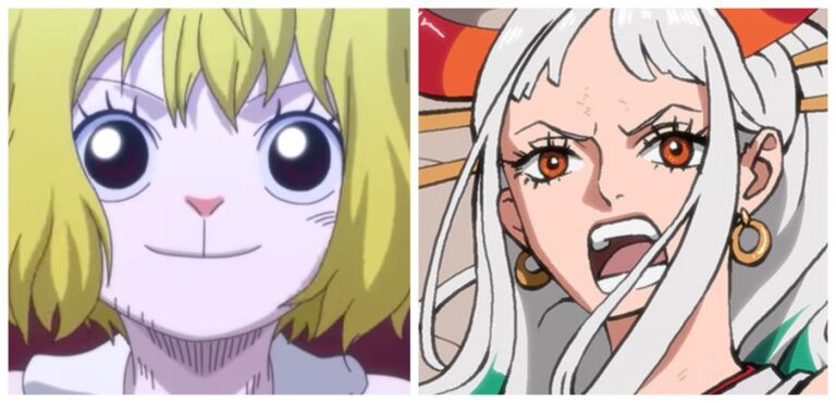 ONE PIECE 1051: The 11th Member of Mugiwara has finally been revealed? ONE PIECE 1051: The 11th Member of Mugiwara has finally been revealed?