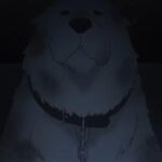 Spy x Family: Will the Forger family welcome a new member soon? Spy x Family: Will the Forger family welcome a new member soon?