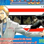 Bleach: the summary of the saga of Substitute Shinigami, the first of the manga Bleach: the summary of the saga of Substitute Shinigami, the first of the manga