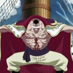 Where was Whitebeard born? The Revelation of the Island in ONE PIECE Where was Whitebeard born? The Revelation of the Island in ONE PIECE