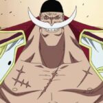 ONE PIECE: The world’s strongest man, Whitebeard, in the latest character from BT Studio ONE PIECE: The world’s strongest man, Whitebeard, in the latest character from BT Studio