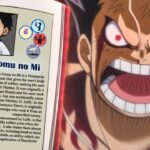 ONE PIECE and the Book of Devil Fruit: The Revelation of Vegapunk ONE PIECE and the Book of Devil Fruit: The Revelation of Vegapunk