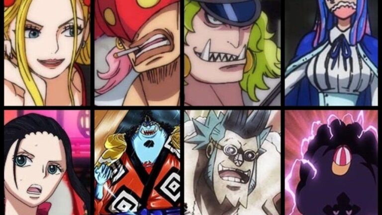 ONE PIECE, Trailer and Release: The recap of the Mugiwara vs. Tobiroppo clash