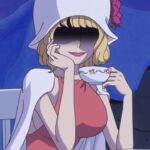 ONE PIECE 1073: Stussy’s secret and a large animal that moves ONE PIECE 1073: Stussy’s secret and a large animal that moves