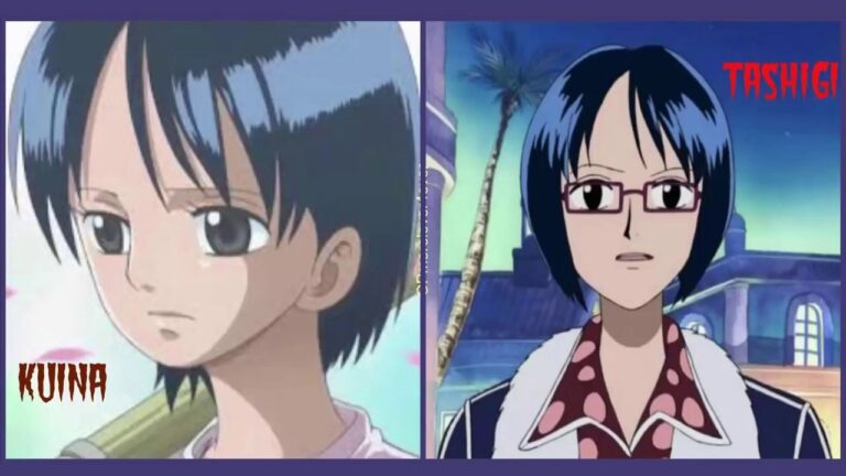 Why do Kuina and Tashigi look the same? The ONE PIECE theory that connects them Why do Kuina and Tashigi look the same? The ONE PIECE theory that connects them