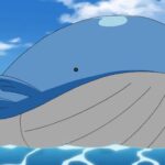 Pokémon: The biggest Pokémon plush arrives, here’s a Wailord to collect Pokémon: The biggest Pokémon plush arrives, here’s a Wailord to collect