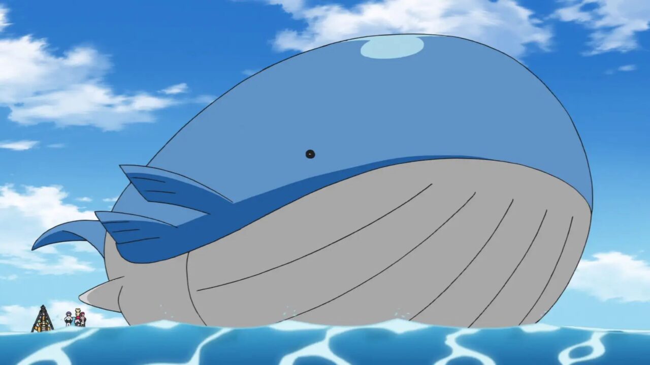 Pokémon: The biggest Pokémon plush arrives, here’s a Wailord to collect