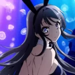 Bunny Girl Senpai: Mai Sakurajima Cosplay with Her Bunny Ears Bunny Girl Senpai: Mai Sakurajima Cosplay with Her Bunny Ears