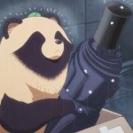 A Tanuki arrives with with you and the rain A Tanuki arrives with with you and the rain