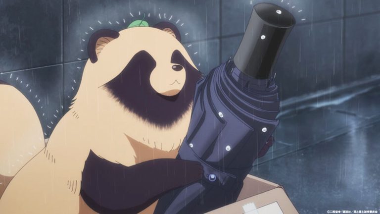 A Tanuki arrives with with you and the rain