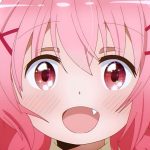 From seiyuu to writer: Hikaru Akao announces her first yuri light novel From seiyuu to writer: Hikaru Akao announces her first yuri light novel